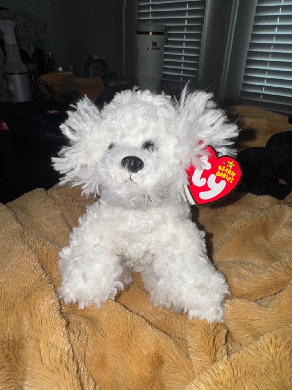 2005 “Lollipup” beanie baby